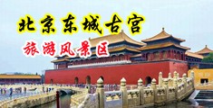 曰屄免费看视频中国北京-东城古宫旅游风景区
